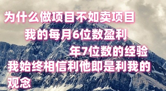 做项目不如卖项目,每月6位数盈利,年7位数经验-轻创社项目网
