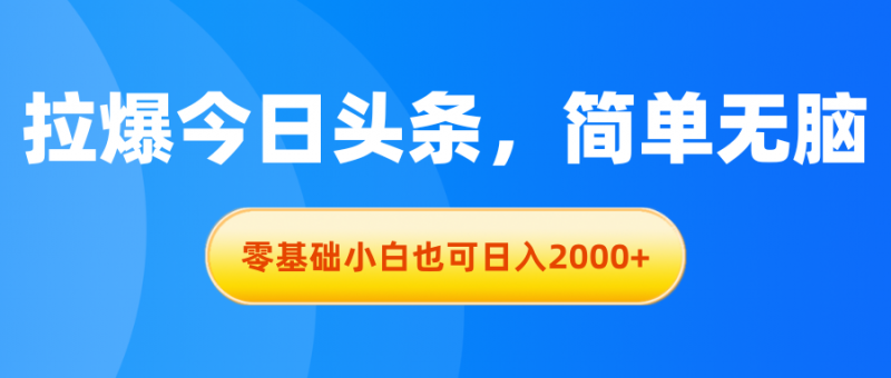 (11077期)拉爆今日头条,简单无脑,零基础小白也可日入2000+-轻创社项目网