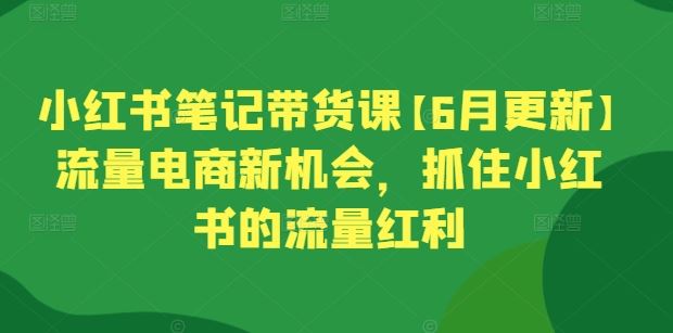 小红书笔记带货课【6月更新】流量电商新机会,抓住小红书的流量红利-轻创社项目网