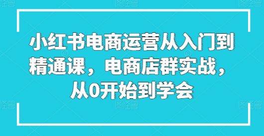 小红书电商运营从入门到精通课,电商店群实战,从0开始到学会-轻创社项目网