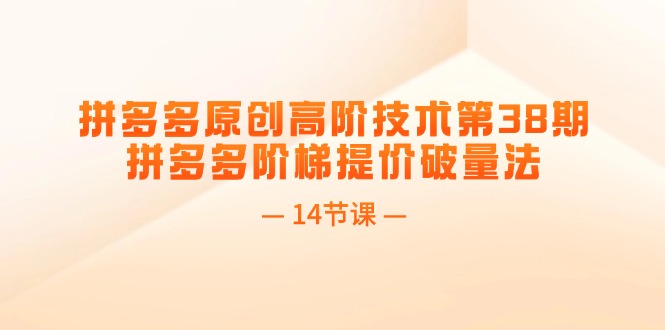 (11704期)拼多多原创高阶技术第38期,拼多多阶梯提价破量法(14节课)-轻创社项目网
