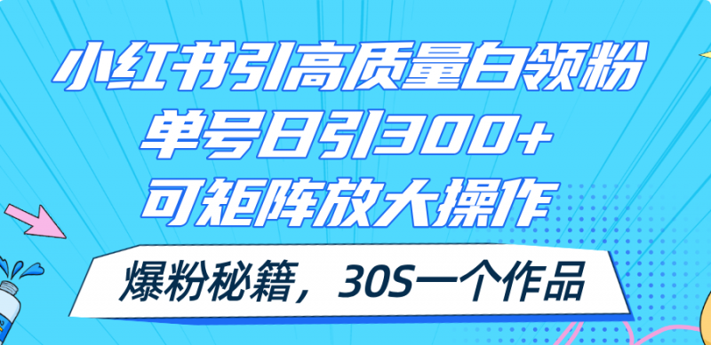 (11692期)小红书引高质量白领粉,单号日引300+,可放大操作,爆粉秘籍!30s一个作品-轻创社项目网