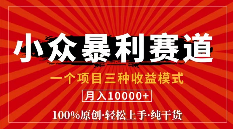 (11695期)视频号【中老年粉深信不疑】小众赛道 100%原创 手把手教学 新号3天收益…-轻创社项目网