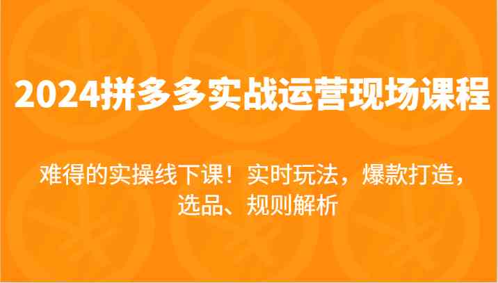 2024拼多多实战运营现场课,实时玩法,爆款打造,选品、规则解析,难得的实操线下课!-轻创社项目网