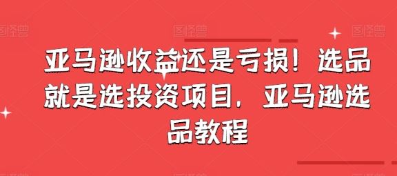 亚马逊收益还是亏损!选品就是选投资项目,亚马逊选品教程-轻创社项目网