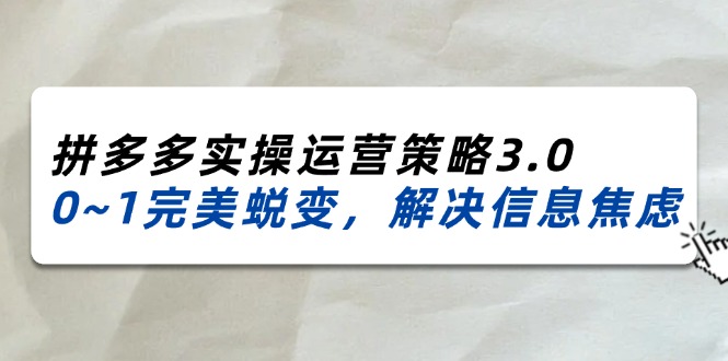 (11658期)2024_2025拼多多实操运营策略3.0,0~1完美蜕变,解决信息焦虑(38节)-轻创社项目网