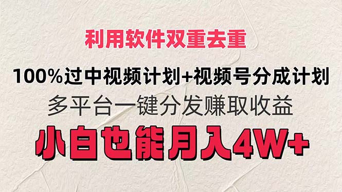 (11862期)利用软件双重去重,100%过中视频+视频号分成计划小白也可以月入4W+-轻创社项目网
