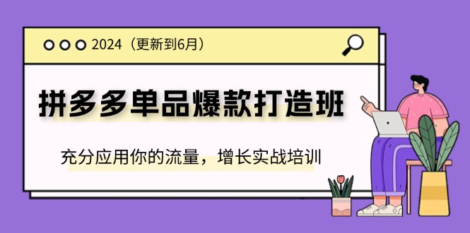 (11556期)2024拼多多-单品爆款打造班(更新6月),充分应用你的流量,增长实战培训-轻创社项目网