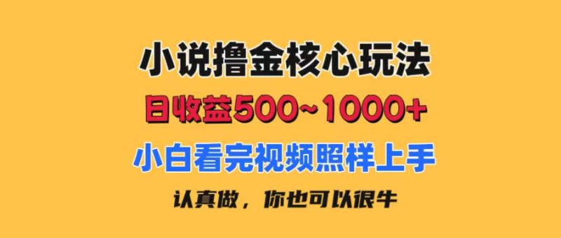 (11461期)小说撸金核心玩法,日收益500-1000+,小白看完照样上手,0成本有手就行-轻创社项目网