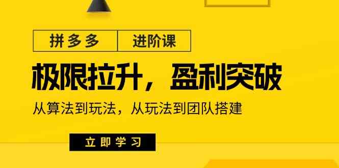拼多多进阶课:极限拉升/盈利突破:从算法到玩法 从玩法到团队搭建(18节)-轻创社项目网