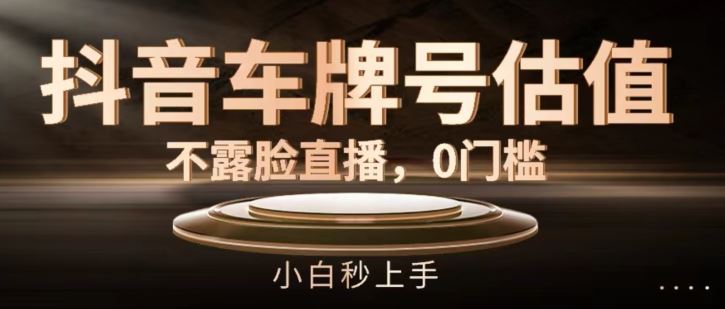 抖音车牌号估值,不露脸直播,0门槛,小白秒上手【揭秘】-轻创社项目网