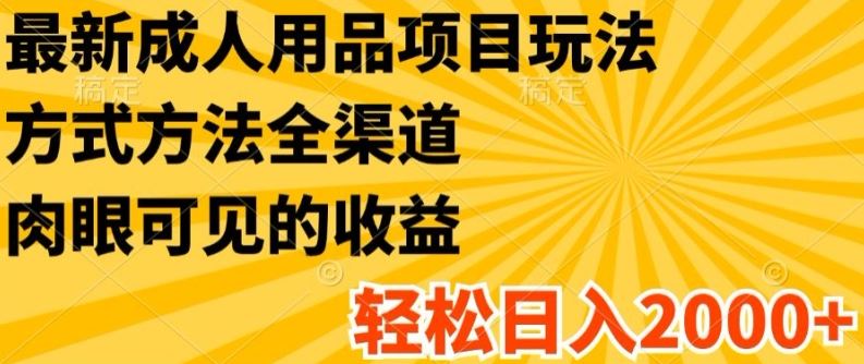 最新成人用品项目玩法,方式方法全渠道,轻松日入2K+【揭秘】-轻创社项目网