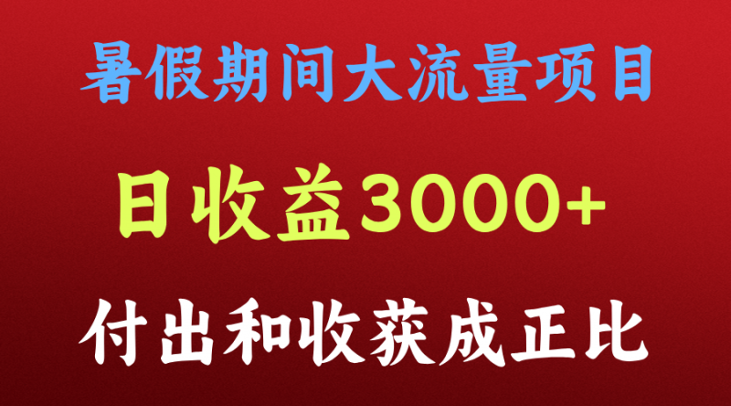 一天收益3000+,暑假期间, 这个项目才是真火-轻创社项目网