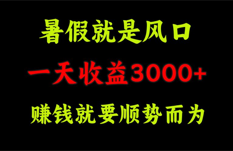 (11670期)一天收益3000+ 赚钱就是顺势而为,暑假就是风口-轻创社项目网