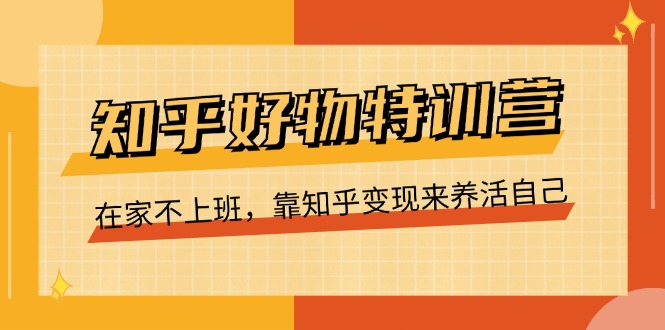 (11369期)知乎好物特训营,在家不上班,靠知乎变现来养活自己(16节)-轻创社项目网
