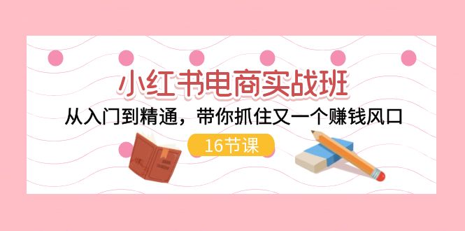 小红书电商实战班,从入门到精通,带你抓住又一个赚钱风口(17节)-轻创社项目网