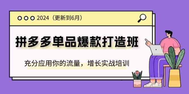 2024拼多多单品爆款打造班,充分应用你的流量,增长实战培训(更新6月)-轻创社项目网