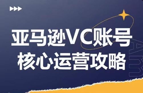 亚马逊VC账号核心玩法解析，实战经验拆解产品模块运营技巧，提升店铺GMV，有效提升运营利润-轻创社项目网
