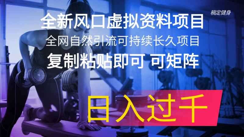 (11587期)全新风口虚拟资料项目 全网自然引流可持续长久项目 复制粘贴即可可矩阵…-轻创社项目网