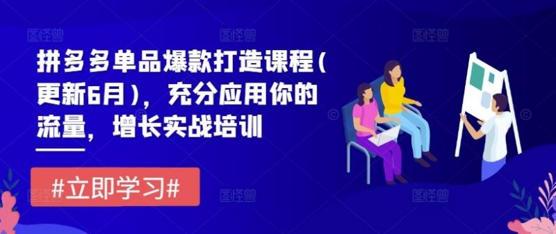 拼多多单品爆款打造课程(更新6月),充分应用你的流量,增长实战培训-轻创社项目网