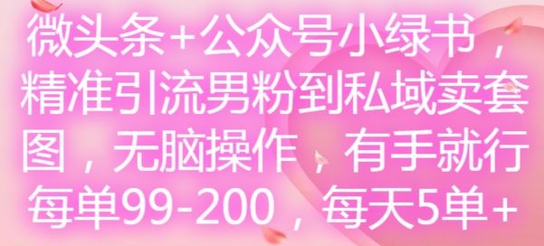 微头条+公众号小绿书,精准引流男粉到私域卖套图,无脑操作,有手就行,每单99-200,每天5单-轻创社项目网