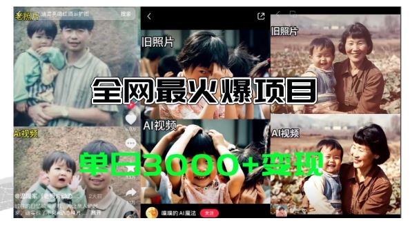 全网爆火的AI让老照片动起来教程,蹭热点日赚3k+,内含免费工具一键可生成【揭秘】-轻创社项目网