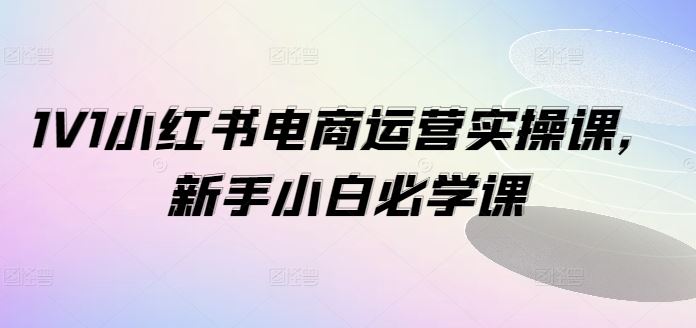 1V1小红书电商运营实操课,新手小白必学课-轻创社项目网