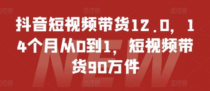 抖音短视频带货12.0,14个月从0到1,短视频带货90万件-轻创社项目网