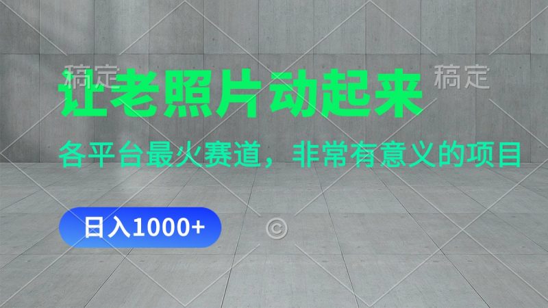 (11671期)让老照片动起来,一天变现1000+,各平台最火赛道,看完就会-轻创社项目网