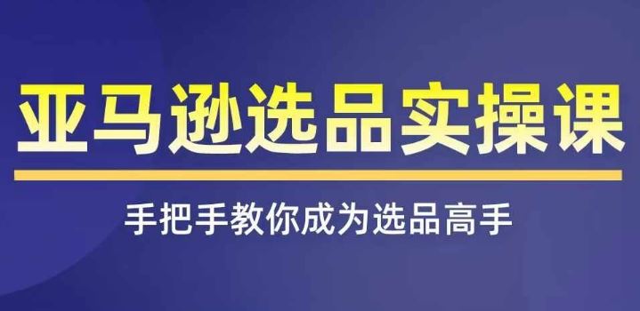 亚马逊选品实操课程,快速掌握亚马逊选品的技巧,覆盖亚马逊选品所有渠道-轻创社项目网