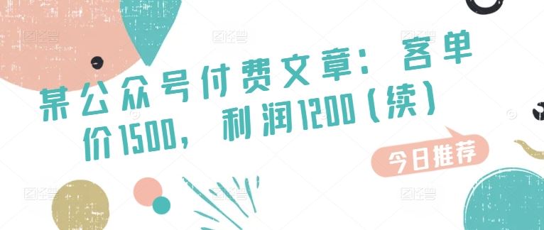 某公众号付费文章:客单价1500,利润1200(续),市场几乎可以说是空白的-轻创社项目网
