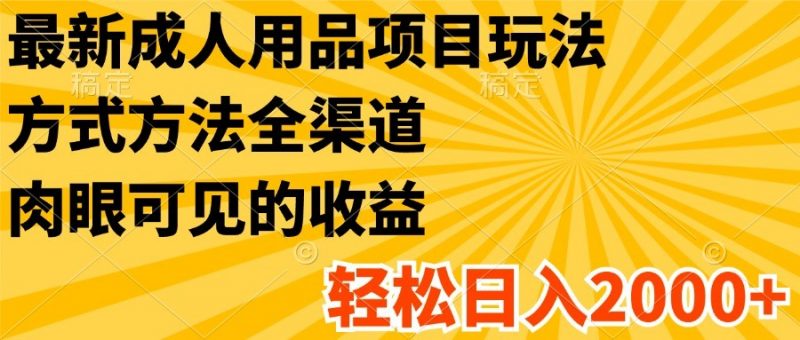 最新成人用品项目玩法,方式方法全渠道,肉眼可见的收益,轻松日入2000+-轻创社项目网