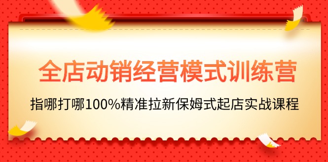 (11460期)全店动销-经营模式训练营,指哪打哪100%精准拉新保姆式起店实战课程-轻创社项目网
