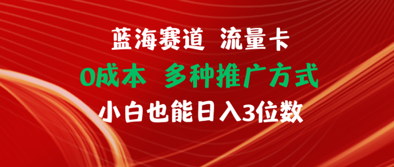(11768期)蓝海赛道 流量卡 0成本 小白也能日入三位数-轻创社项目网