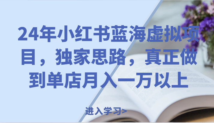 24年小红书蓝海虚拟项目,独家思路,真正做到单店月入一万以上。-轻创社项目网