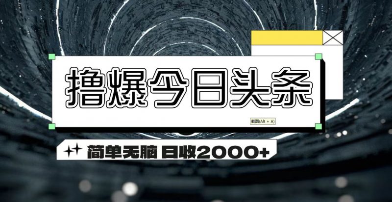 (11665期)撸爆今日头条 简单无脑操作 日收2000+-轻创社项目网