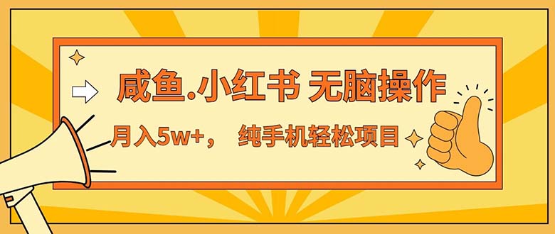 (11524期)2024最赚钱的项目,咸鱼,小红书无脑操作,每单利润500+,轻松月入5万+…-轻创社项目网