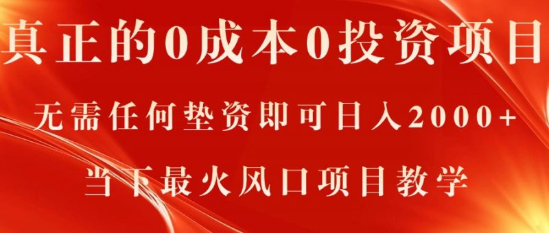 (11387期)真正的0成本0投资项目,无需任何垫资即可日入2000+,当下最火风口项目教学-轻创社项目网