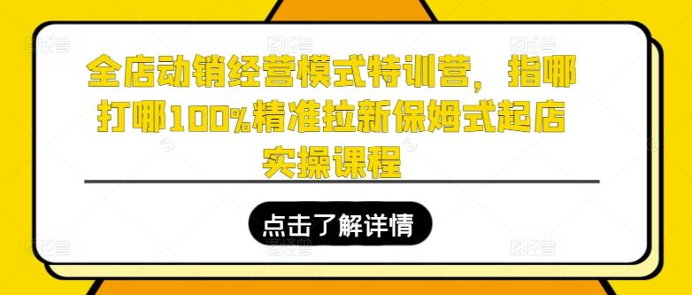 全店动销经营模式特训营,指哪打哪100%精准拉新保姆式起店实操课程-轻创社项目网