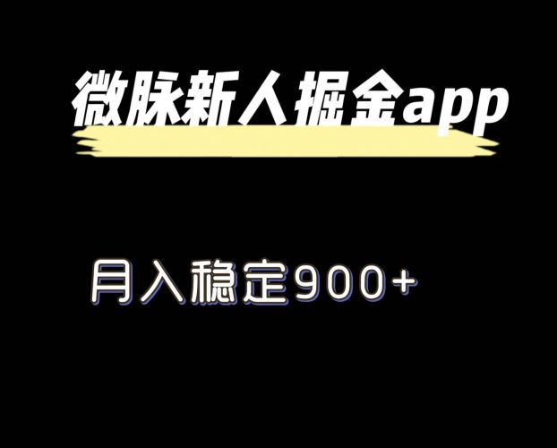 最新微脉长久项目,拉新掘金,月入稳定900+-轻创社项目网