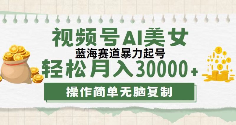 (12087期)视频号AI美女跳舞,轻松月入30000+,蓝海赛道,流量池巨大,起号猛,无…-轻创社项目网