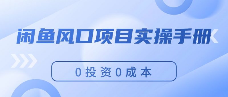 (11923期)闲鱼风口项目实操手册,0投资0成本,让你做到,月入过万,新手可做-轻创社项目网
