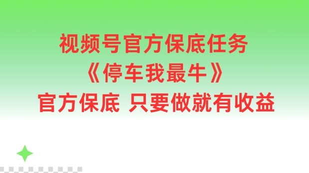 视频号官方保底任务,停车我最牛,官方保底只要做就有收益【揭秘】-轻创社项目网