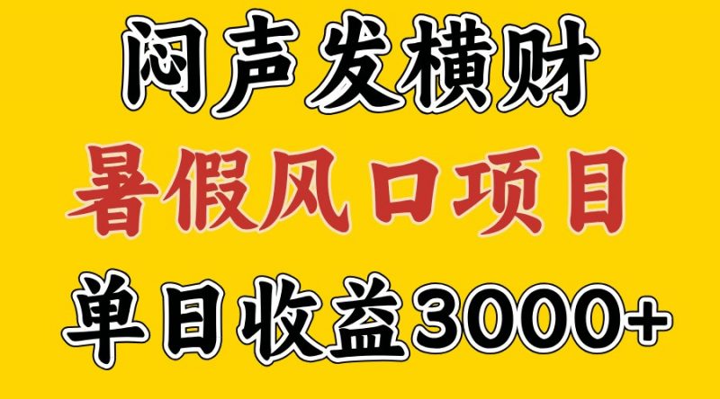 30天赚了7.5W 暑假风口项目,比较好学,2天左右上手-轻创社项目网