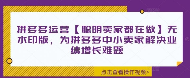 拼多多运营【聪明卖家都在做】无水印版,为拼多多中小卖家解决业绩增长难题-轻创社项目网