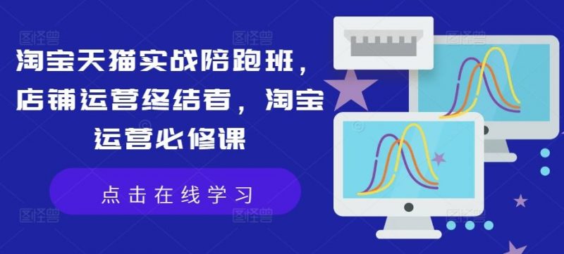 淘宝天猫实战陪跑班,店铺运营终结者,淘宝运营必修课-轻创社项目网
