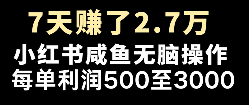 七天赚了2.7万!每单利润最少500+,轻松月入5万+小白有手就行-轻创社项目网