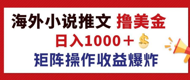 (12333期)最新海外小说推文撸美金,日入1000+ 蓝海市场,矩阵放大收益爆炸-轻创社项目网