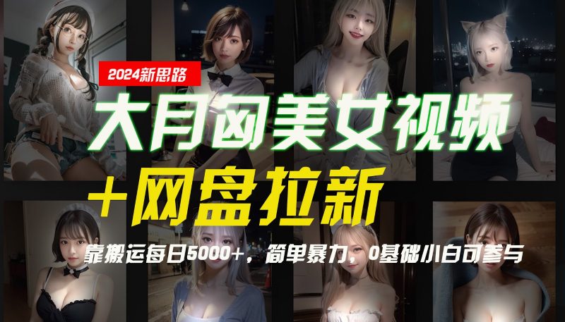 【新思路】大月匈美女视频+网盘拉新,靠搬运每日5000+,简单暴力,0基础小白可参与-轻创社项目网