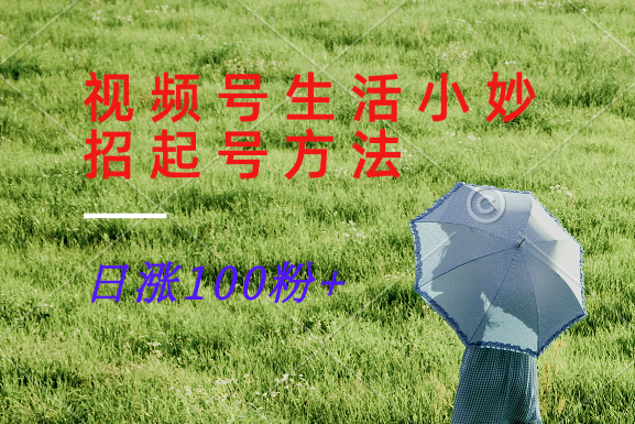 视频号生活小妙招分享赛道, 起号涨粉新方法,日涨100粉-轻创社项目网